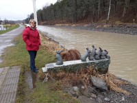 /album/bildgalleri-bilder-2020/a20200304-131325-jpg/