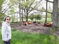 /album/bildgalleri-bilder-2020/a20200527-125946-jpg/