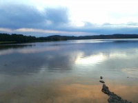 /album/bildgalleri-bilder-2020/a20200707-170354-jpg/