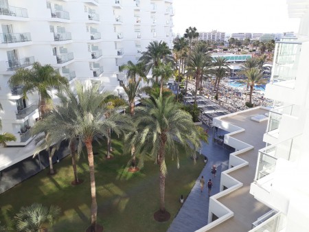 Rui papaya får 10 p. Av 10.