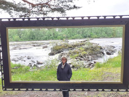 Skogskonst vid fänforsen