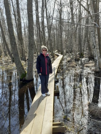 Långpromenad vid sjön Aspen,  1 km lång spång...